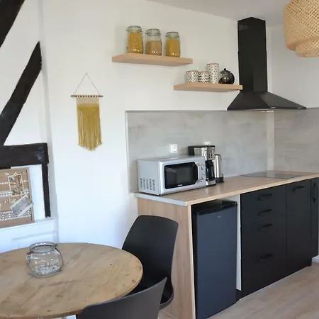 Apartman L'etoupee - Cocon Centre-ville De - 63 *